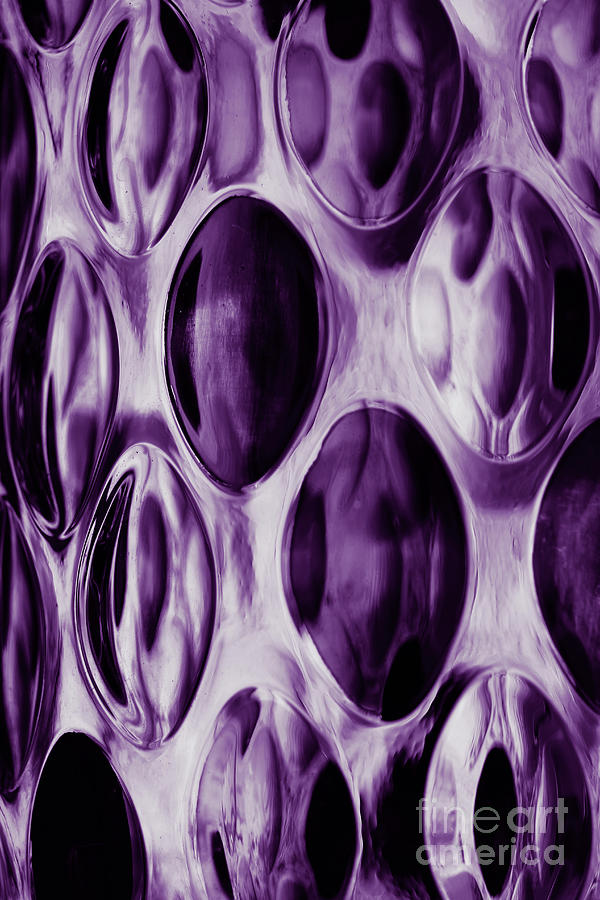 Rosebowl Abstract Purple Duotone Photograph by Eddie Barron