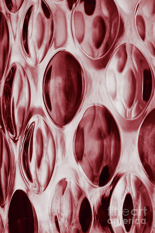 Rosebowl Abstract Red Duotone Photograph