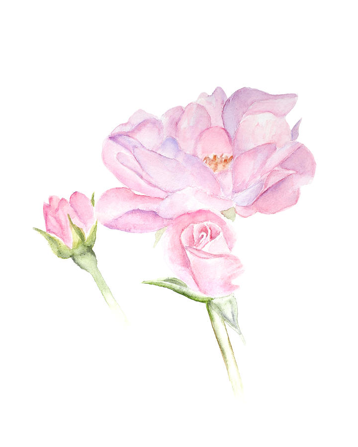 Rosebud Painting by Elizabeth Lock
