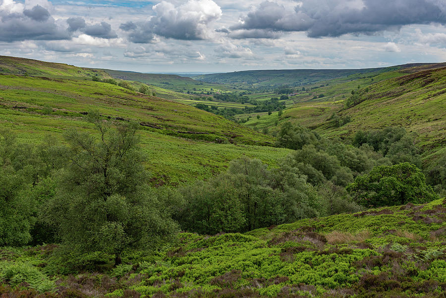 Rosedale view Photograph by Gary Eason
