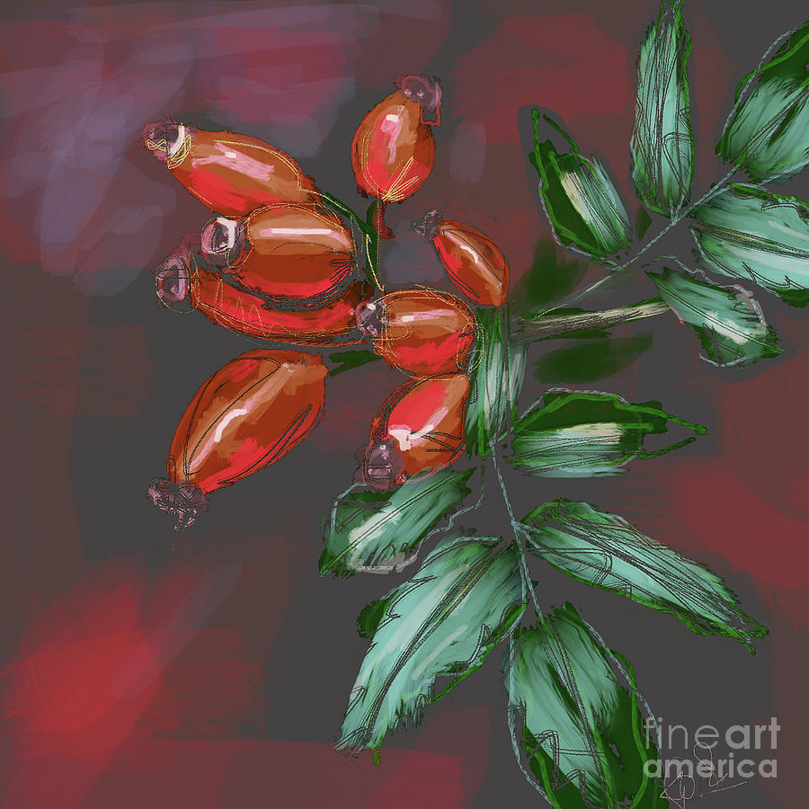 Rosehip by Go Van Kampen Rosehip by Go Van Kampen