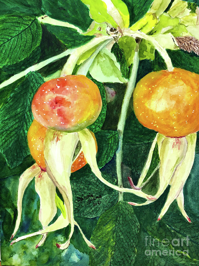 Rosehips Painting by Bonnie Young