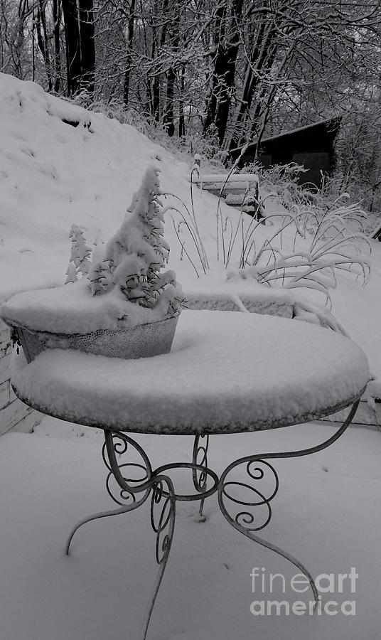 Rosemary Winter Hospitality snow V Photograph by GJ Glorijean