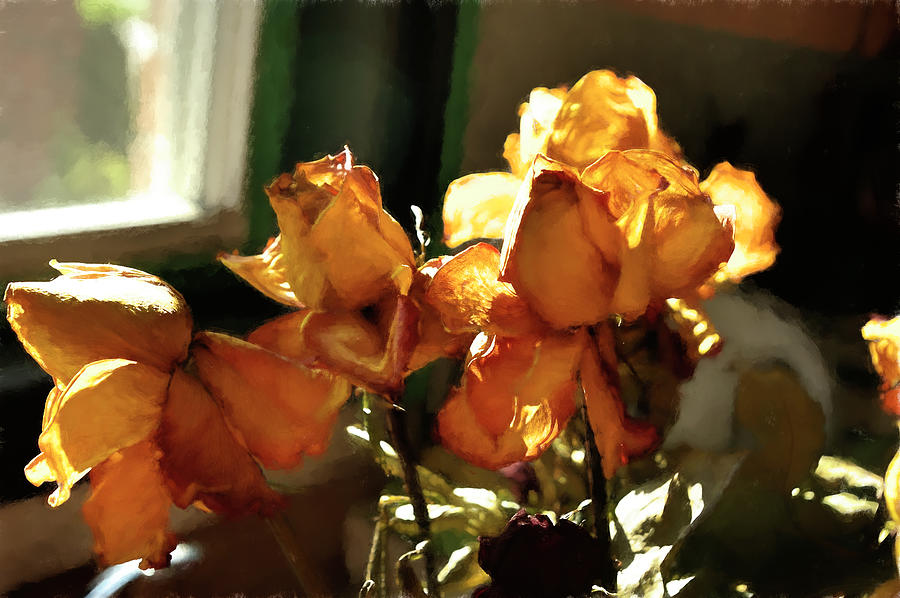 Rose Digital Art - Roses #5 by Leyla Munteanu