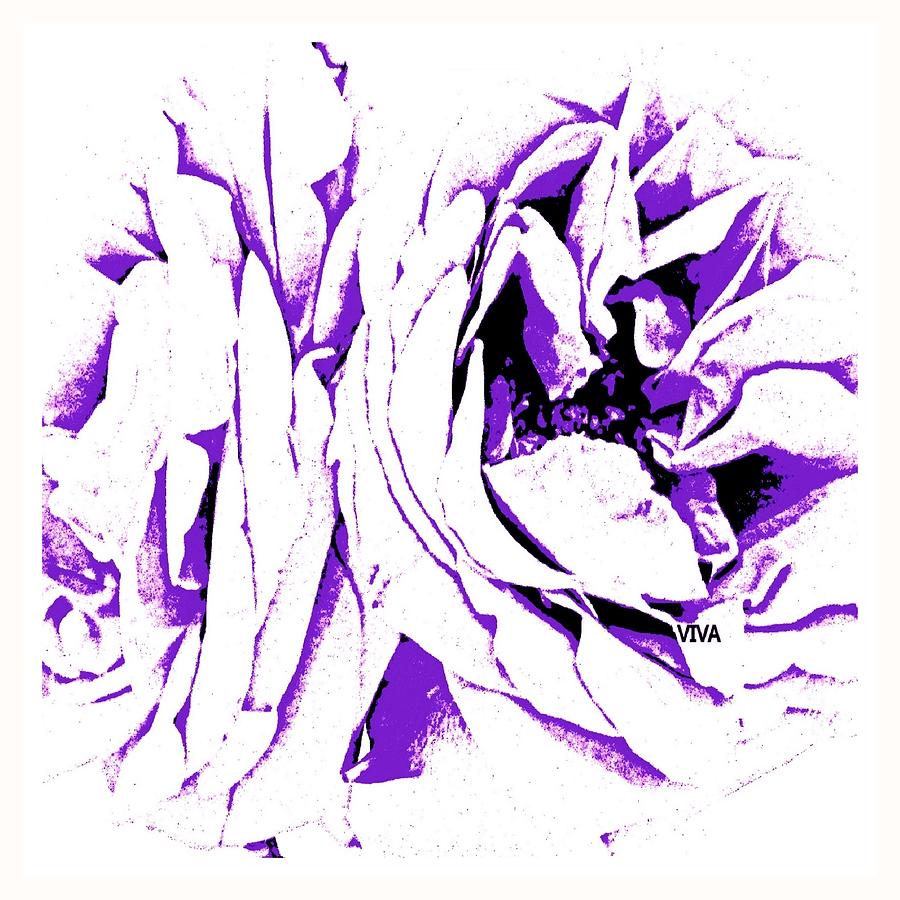 ROSES  ABSTRACT Purple Photograph by VIVA Anderson