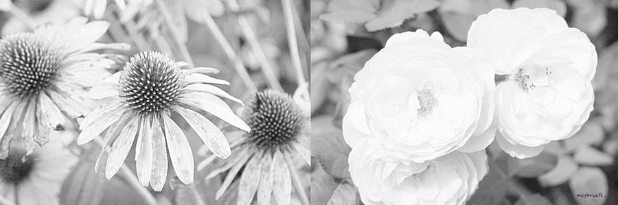 Roses And Coneflowers Photograph