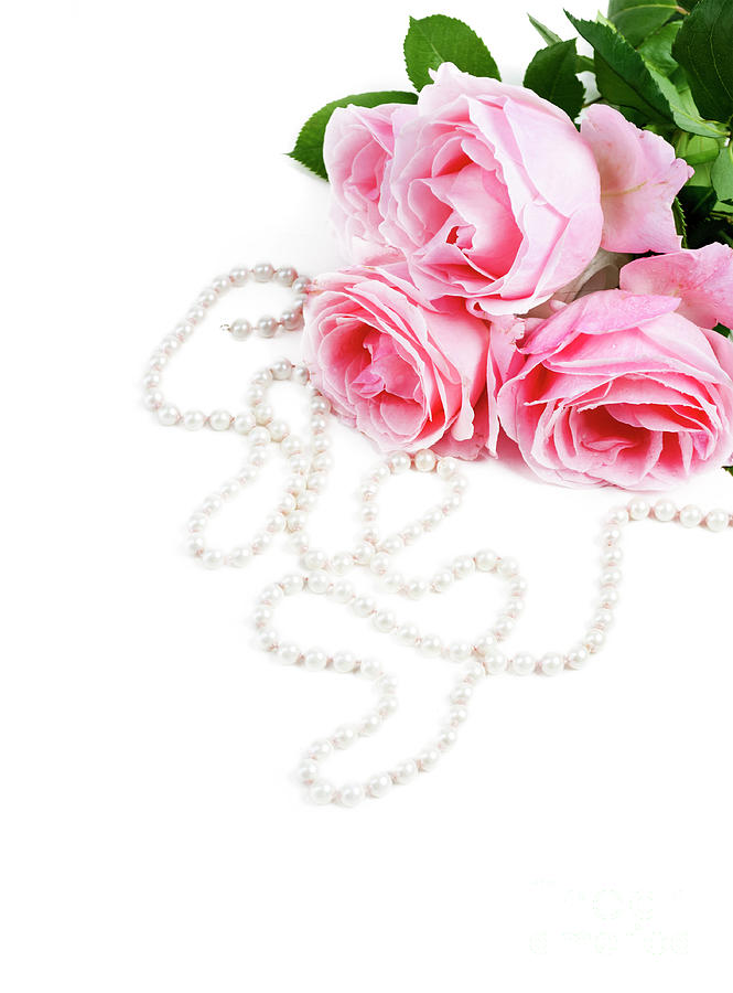 Roses And Pearls On White Background Photograph