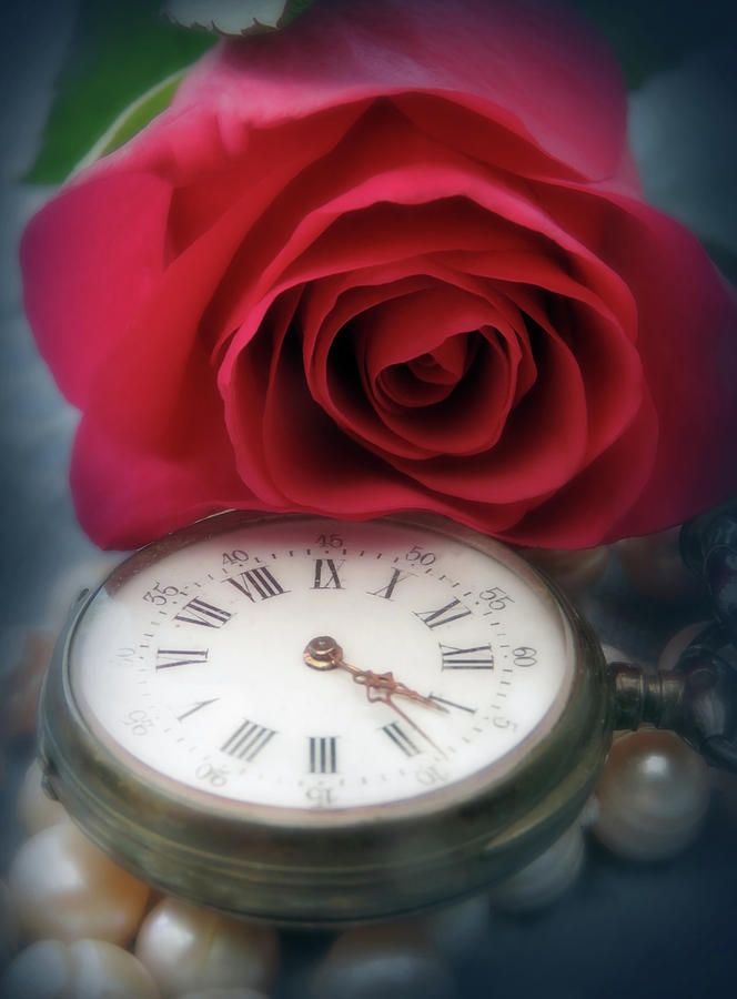 Roses And Time Fade But Pearls Memories And Love Can Last Forever Photograph by Johanna Hurmerinta