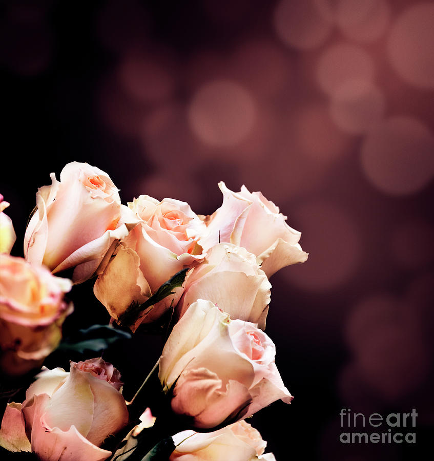 Roses Bouquet With Bokeh Background Photograph