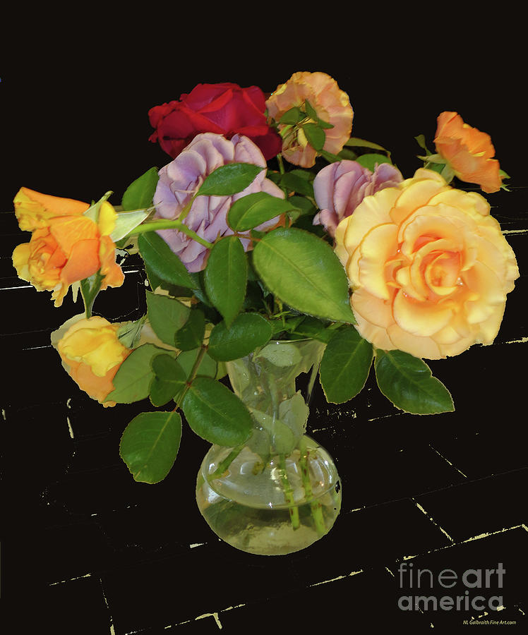 Rose Mixed Media - Roses Brighten Life by NL Galbraith