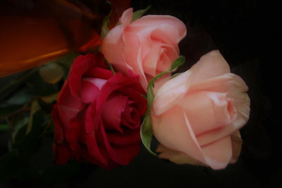 Rose Photograph - Roses For My Love by Kay Novy