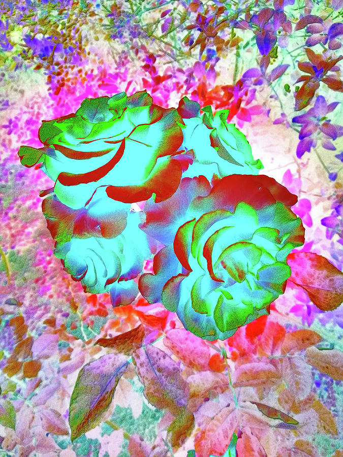 Roses Green Digital Art by Manos Chronakis