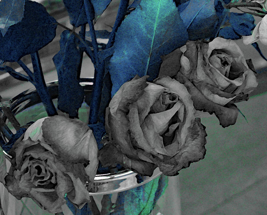 Roses in Black and White and Leaves of Blue Photograph by Corinne Carroll