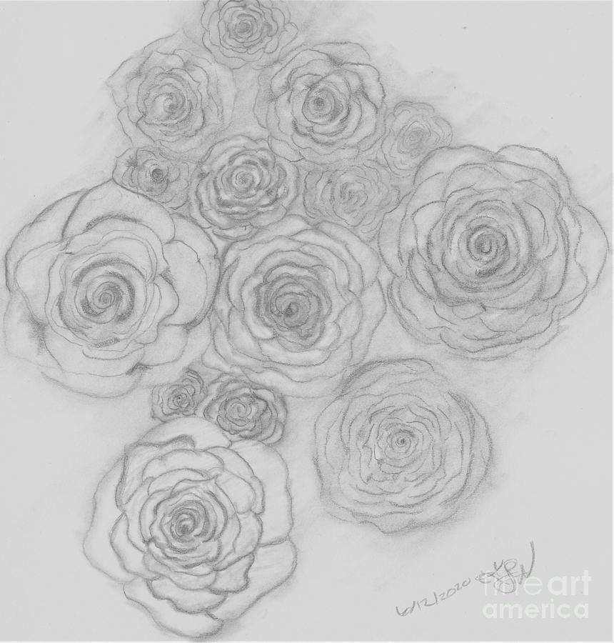 Roses Drawing by Katy Lord Nguyen
