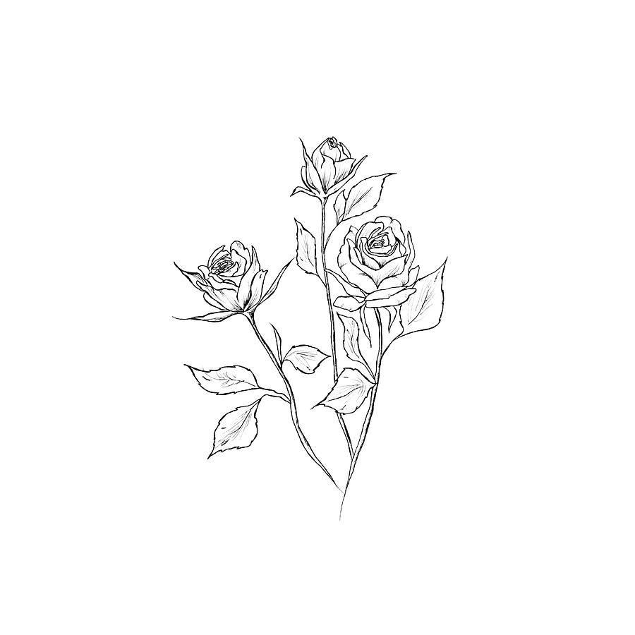 Rose Sketch Black Outline On White Stock Vector (Royalty Free) 418418365 |  Shutterstock