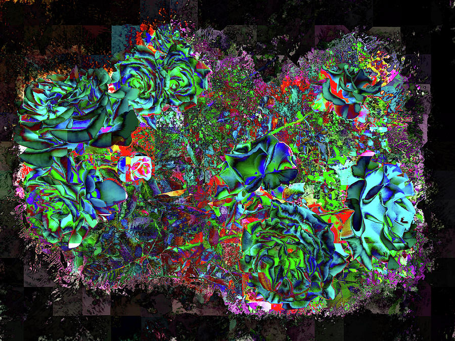 Roses Nocturne Digital Art
