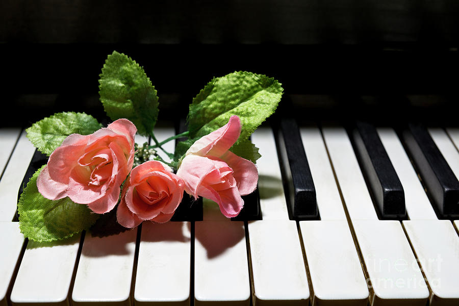 Roses on the Piano Photograph by Maria Janicki