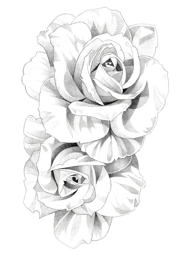 Pencil sketch hand drawn set Rose flowers. Sketching vector flowers  illustration isolated on white background. Stock Vector | Adobe Stock