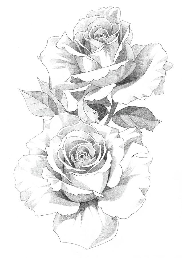 Realistic rose flowers and love letter sign sketch