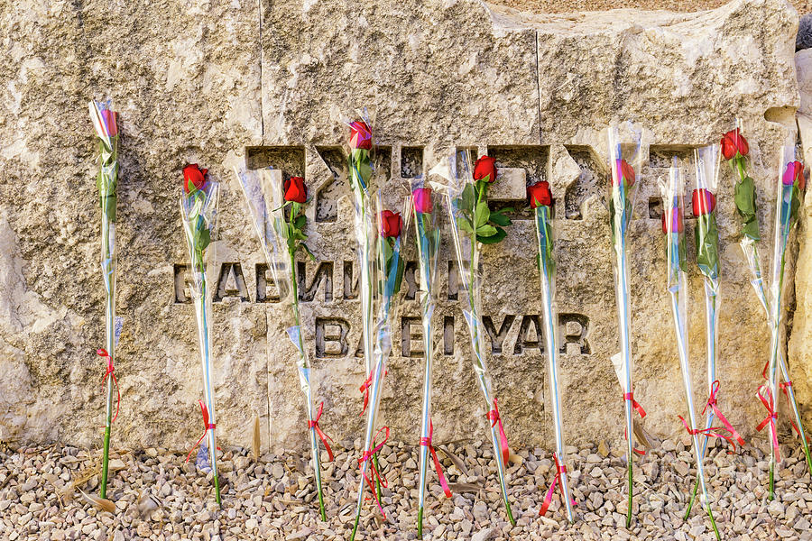 Roses placed by Bar and Bat Mitzvah candidates adorn the Babi Ya Photograph by William Kuta