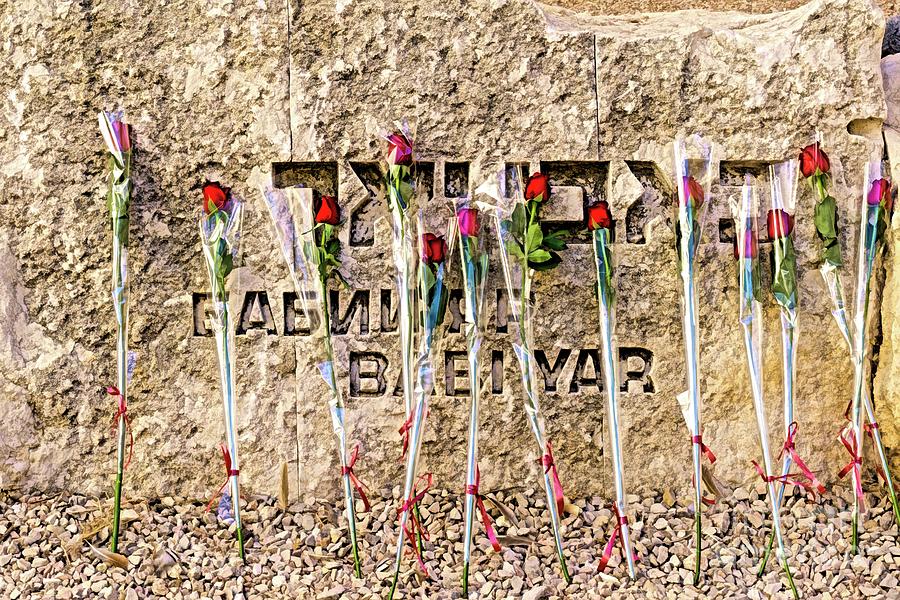 Roses placed by Bar and Bat Mitzvah candidates adorn the Babi Yar stone at the Valley of the Communities at Yad Vashem holocaust museum in Jerusalem, Israel. Photograph by William Kuta
