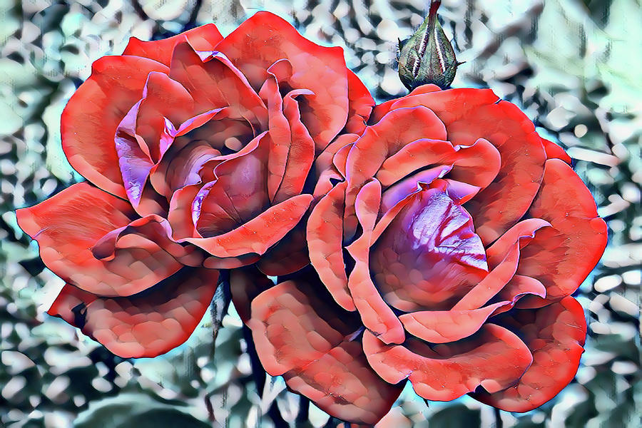 Roses Pop Photograph by Gina Fitzhugh