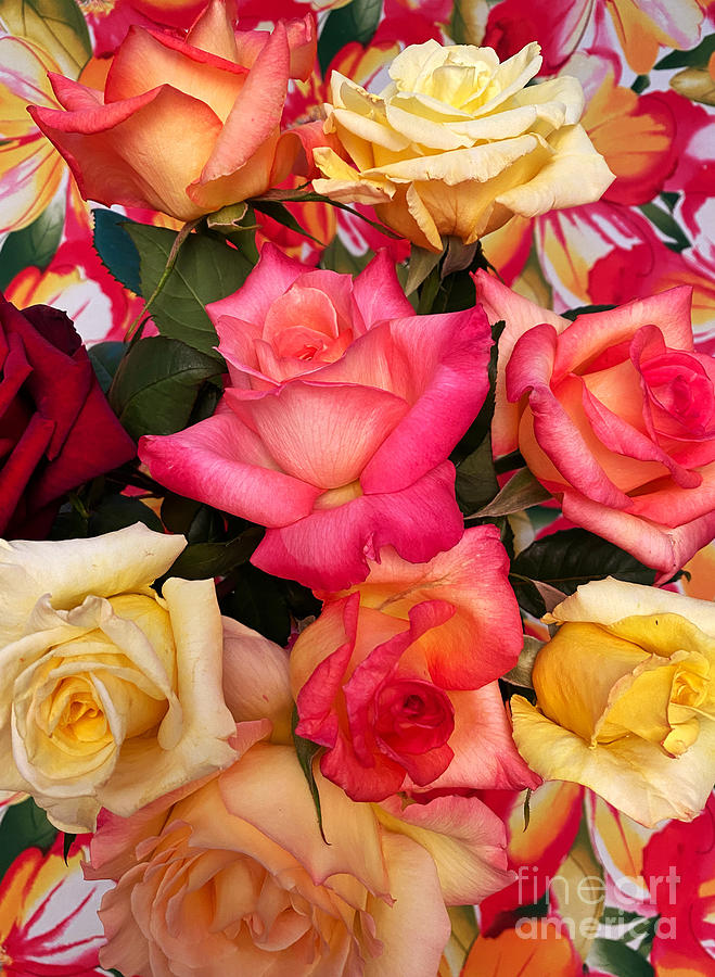 Roses, Roses Photograph by Jeanette French