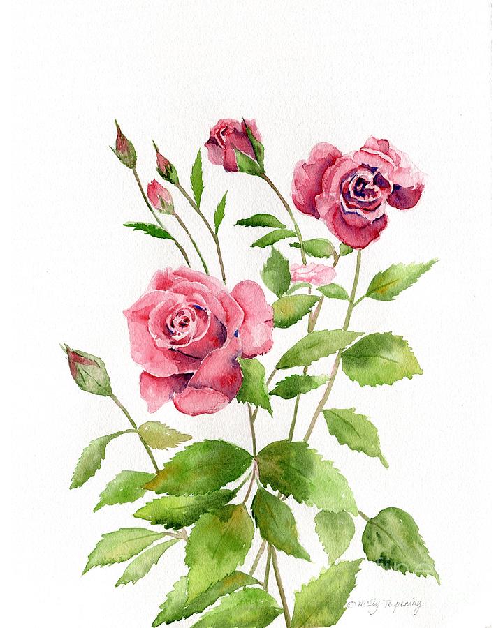 Roses Watercolor Painting by Melly Terpening - Fine Art America