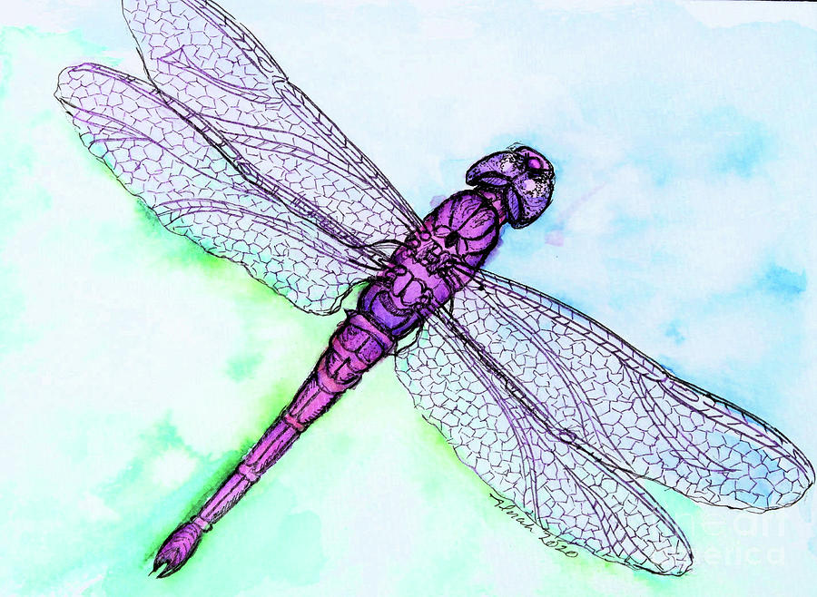 Rosetta Dragonfly Painting by Lora Tout