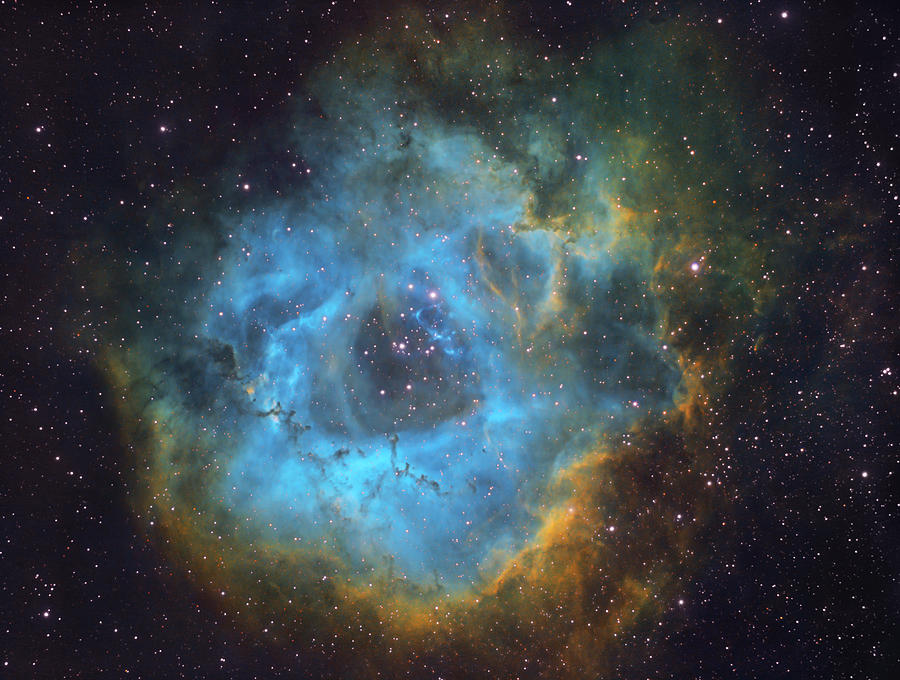 Rosette Nabula - Hubble Palette Photograph by Ralf Rohner