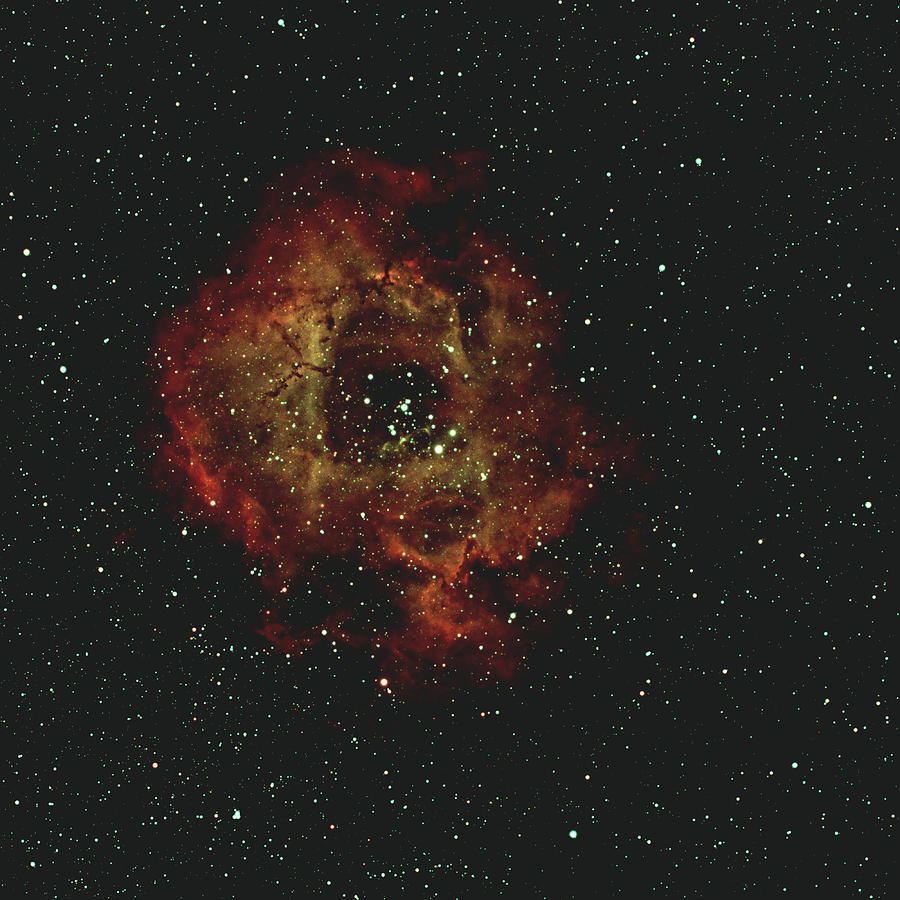 Rosette Nebula # 2 Photograph by Peter Ponzio