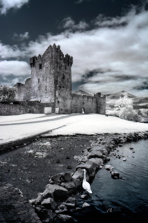 Ross Castle Killarney Photograph by Tracy Munson