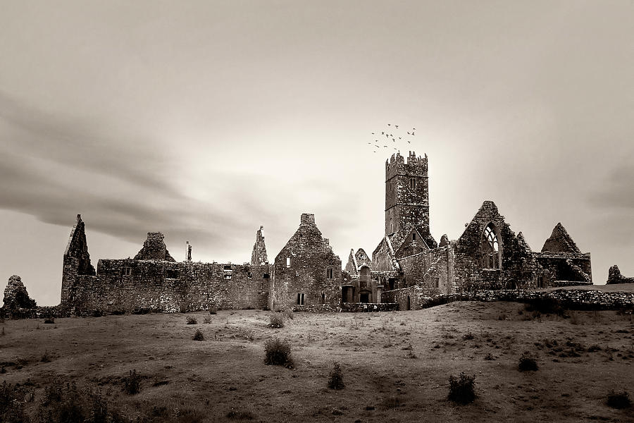 Architecture Photograph - Ross Errilly Friary by Menega Sabidussi