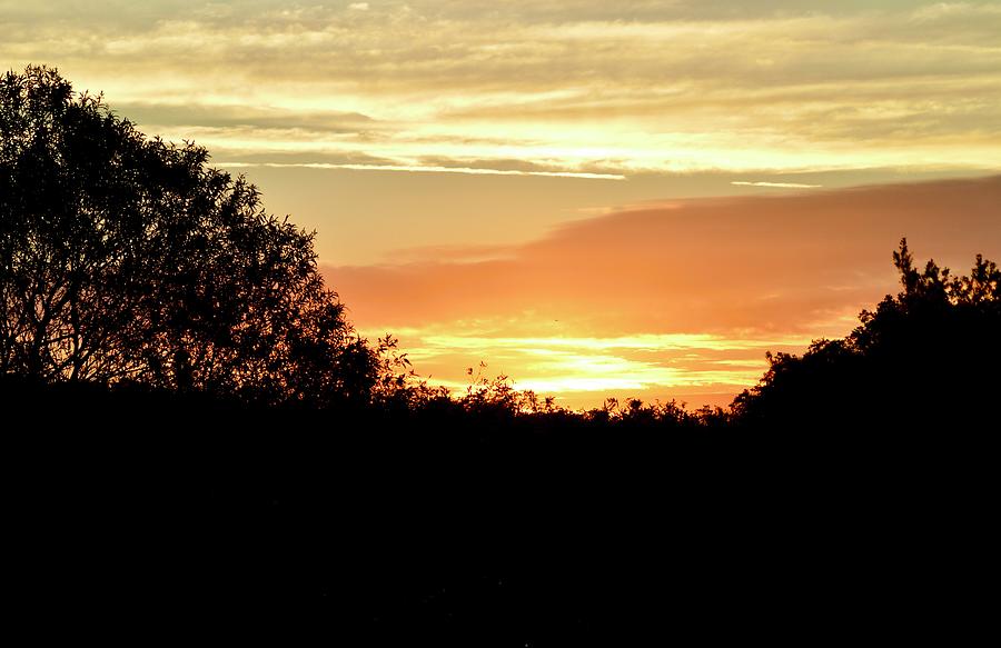 Ross Prairie Sunrise Shapes Photograph by Warren Thompson - Fine Art ...