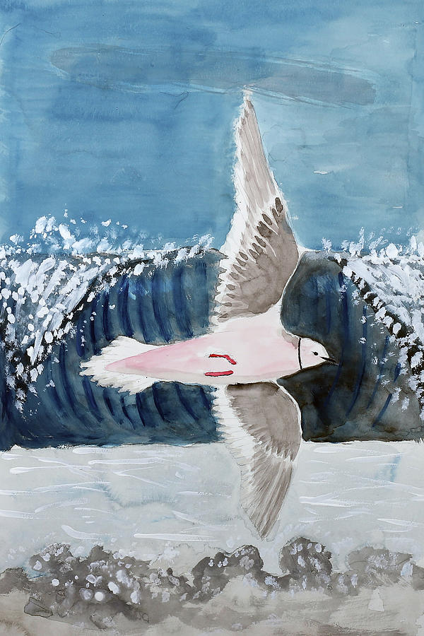 Animal Painting - Rosss Gull by Wynn Derr