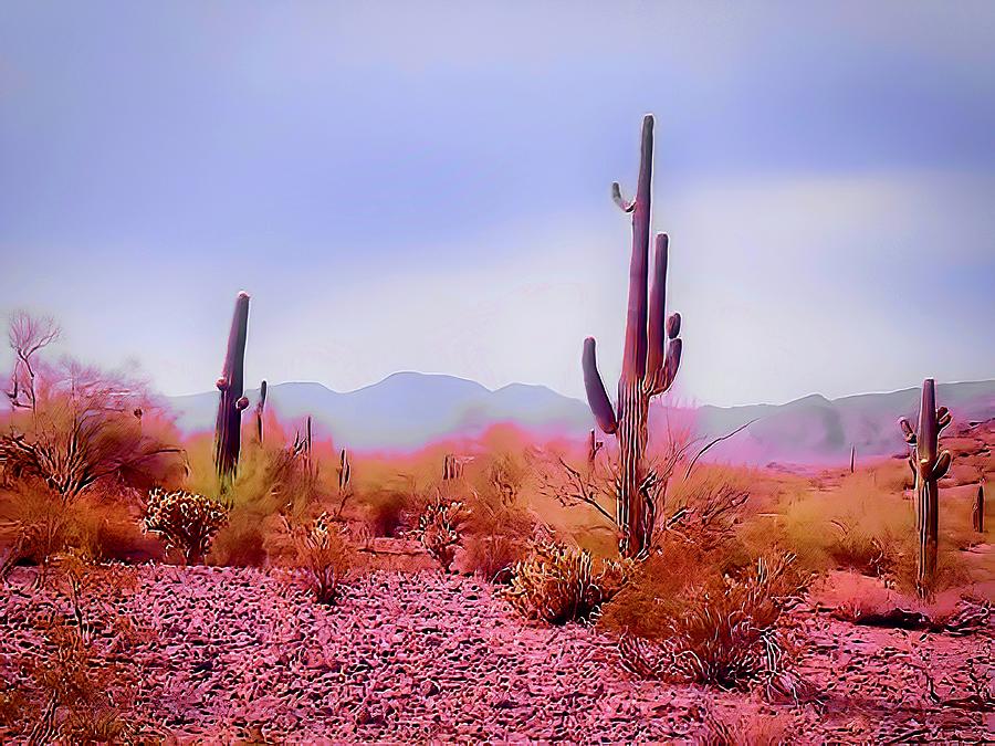 Rosy Desert Day Photograph by Judy Kennedy