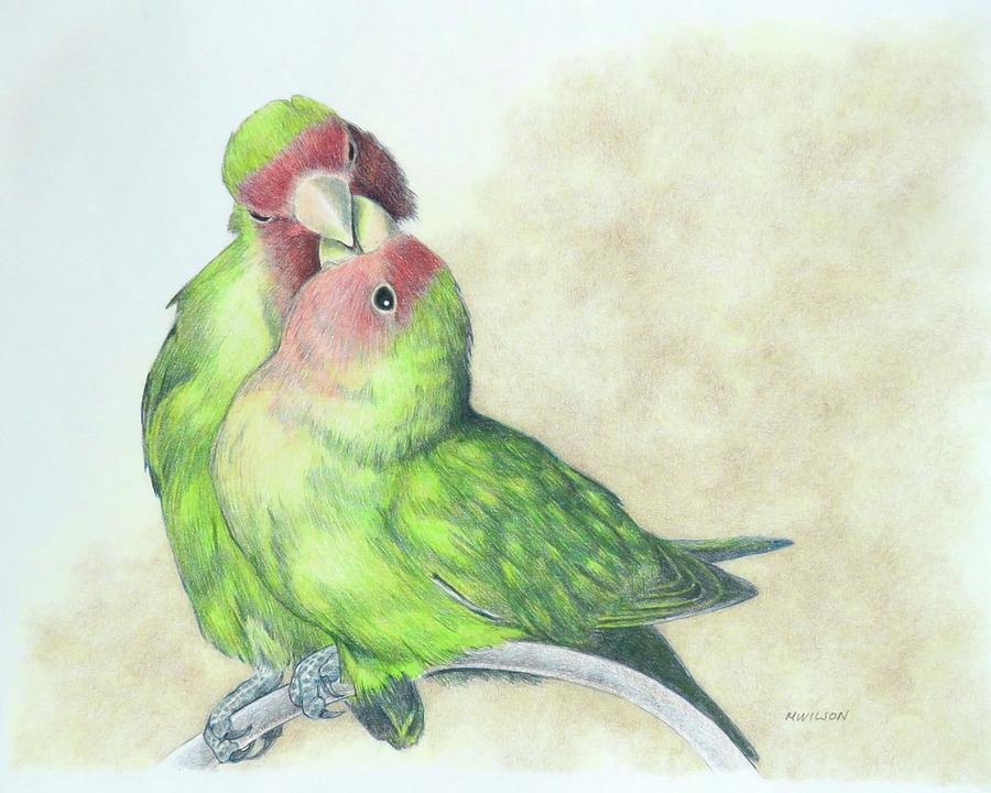 RosyFaced Lovebirds Drawing by Miriam Wilson Fine Art America