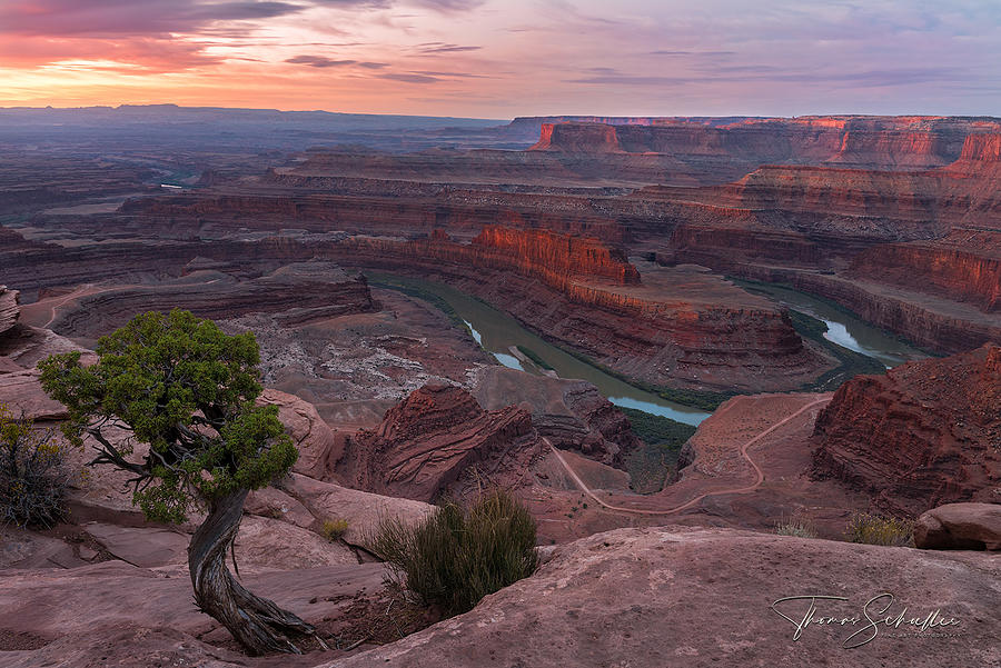Rosy Sunrise at Deadhorse Point - LIMITED EDITION of 150 Available Artist Direct Only Photograph by TS Photo