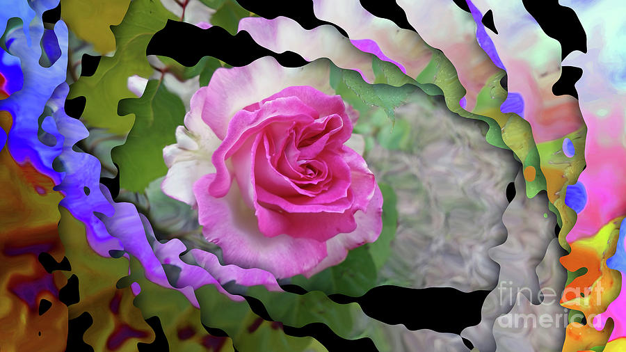 Rosy Swirls Photograph by Sea Change Vibes