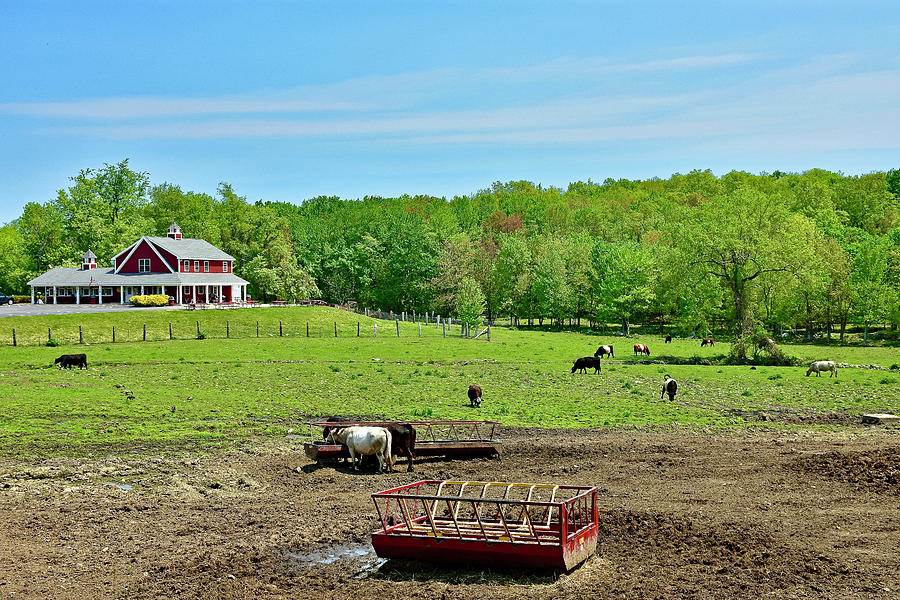 Rota Spring Farm Photograph by Monika Salvan