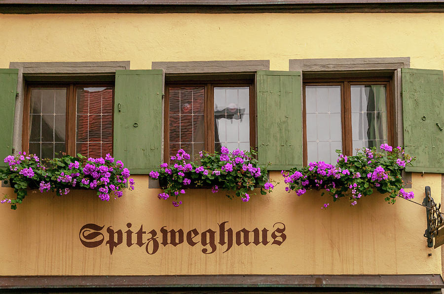 Rothenburg ob der Tauber. Spitzweghaus Photograph by Jenny Rainbow