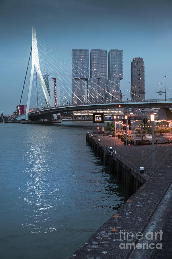 Rotterdam Erasmus Bridge Skyline Photograph by Philip Preston