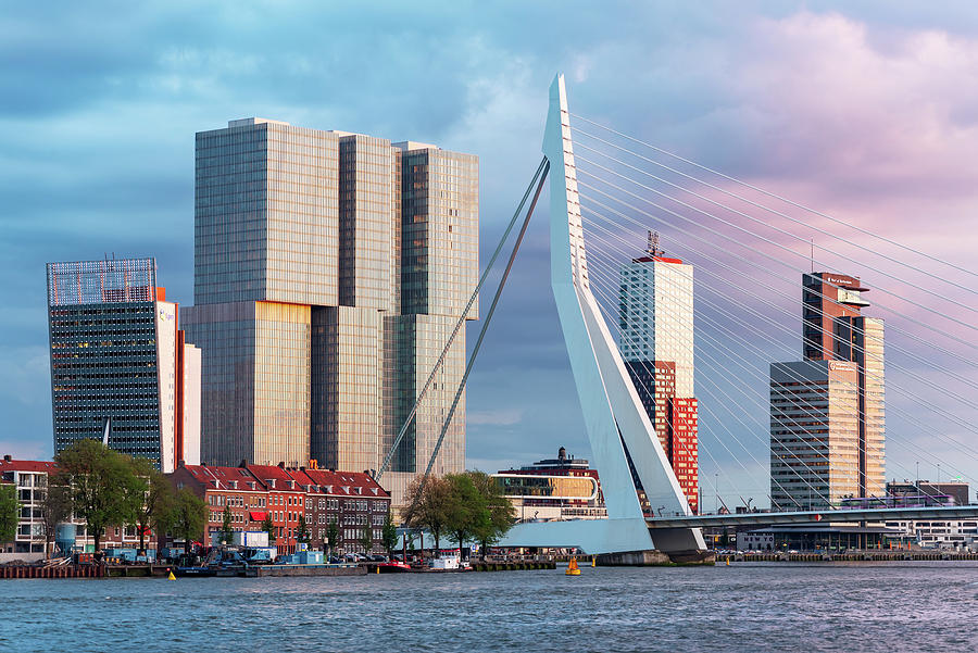 Rotterdam skyline with Erasmus bidge Photograph by Philippe Lejeanvre