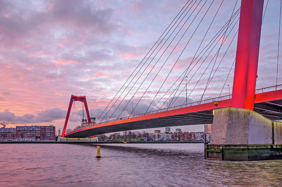 Rotterdam, Willems Bridge at sunrise Photograph by Frans Blok