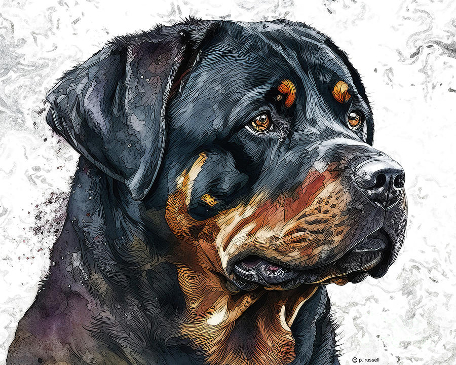 Rottie Wall Art Mixed Media by P Russell