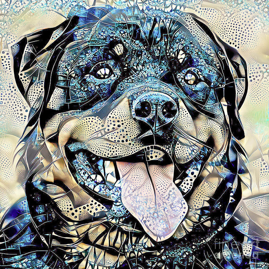 Rottweiler Dog 20210131a Square Photograph by Wingsdomain Art and Photography