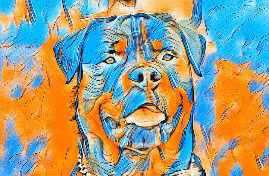 Rottweiler dog portrait in blue and orange Digital Art by Nicko Prints