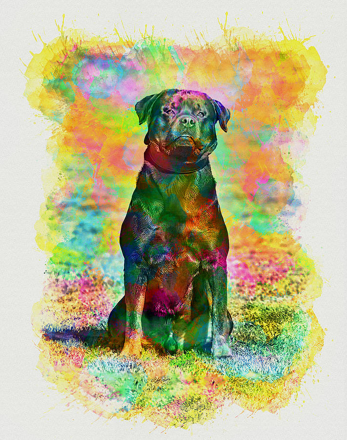 Rottweiler dog sitting - colorful watercolor effect Digital Art by Nicko Prints