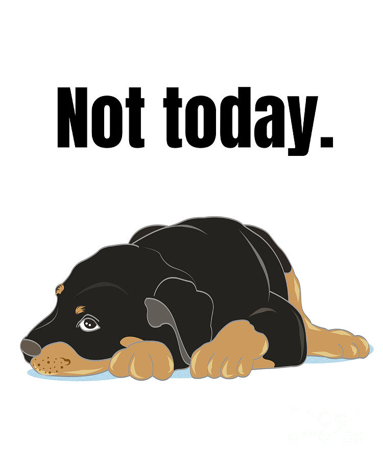 Rottweiler lazy best sale