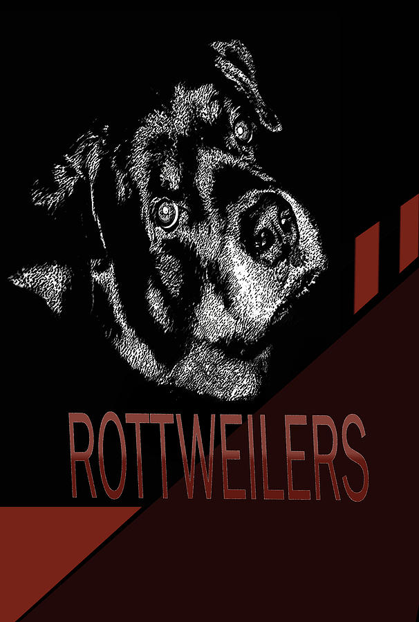  Rottweiler Poster  Digital Art by Miss Pet Sitter